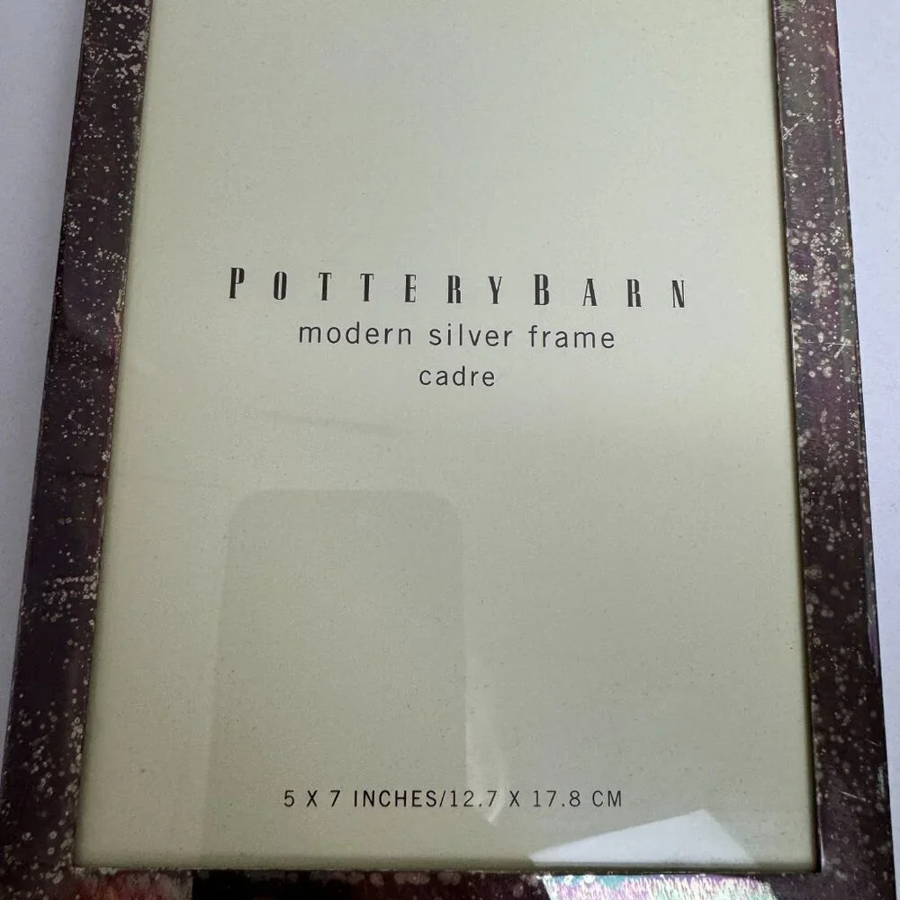 Pottery Barn Silver Stainless Steel Frame 